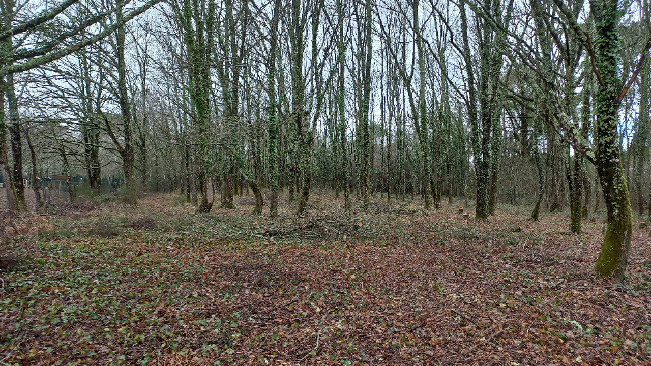 terrain  pièces 2000 m2 à vendre à Saint-Médard-de-Mussidan (24400)