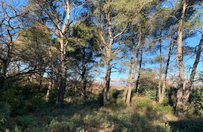 vente terrain 285 000 € à proximité de Seillons-Source-d'Argens (83470)