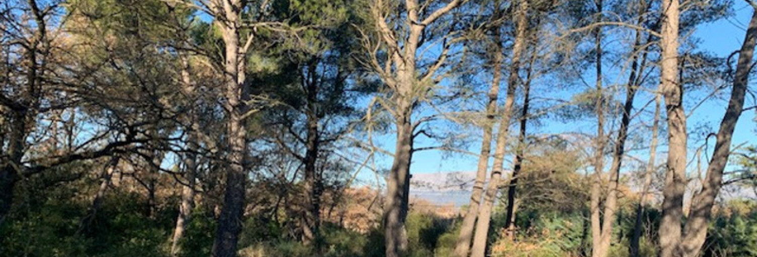 Terrain  1515 m² à vendre à Trets (13530)