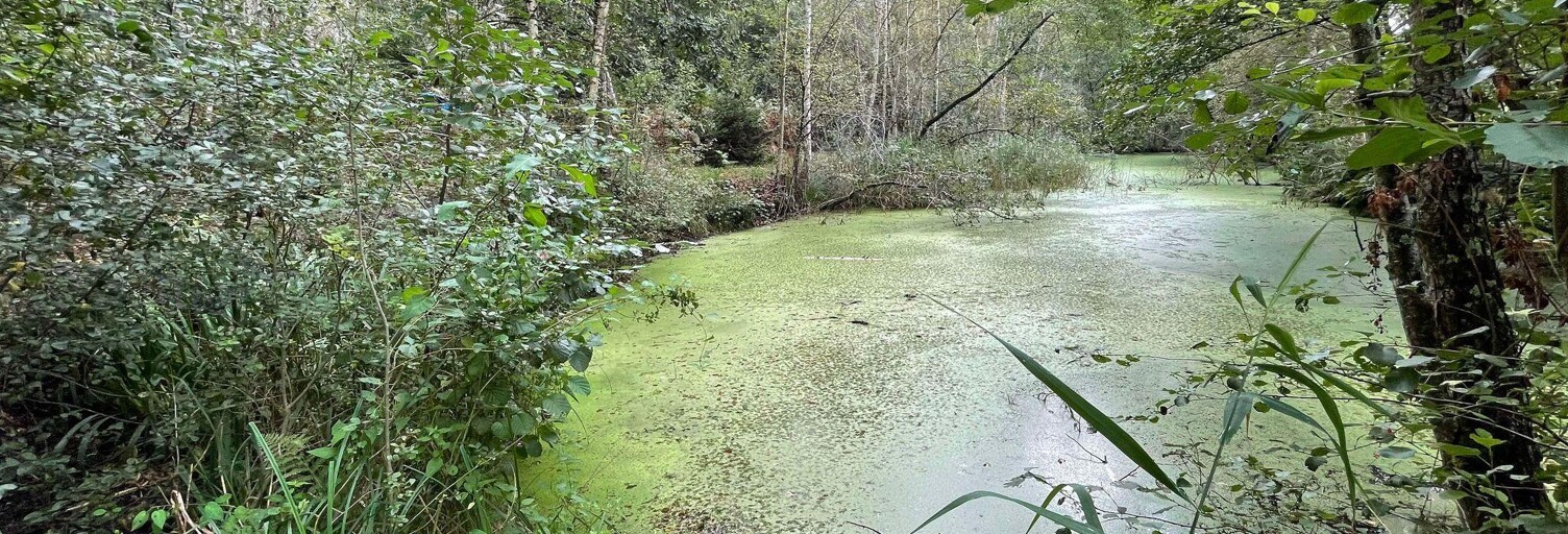 Terrain  6319 m² à vendre à Chaillevois (02000)