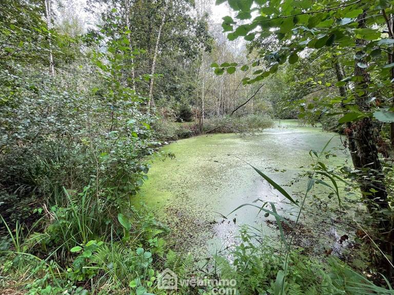 Etang - 6319m² - Chaillevois — photo 1