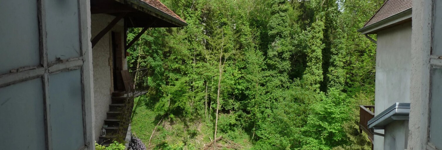 Maison 8 Pièces 224 m² à vendre à Saint-Geoire-en-Valdaine (38620)