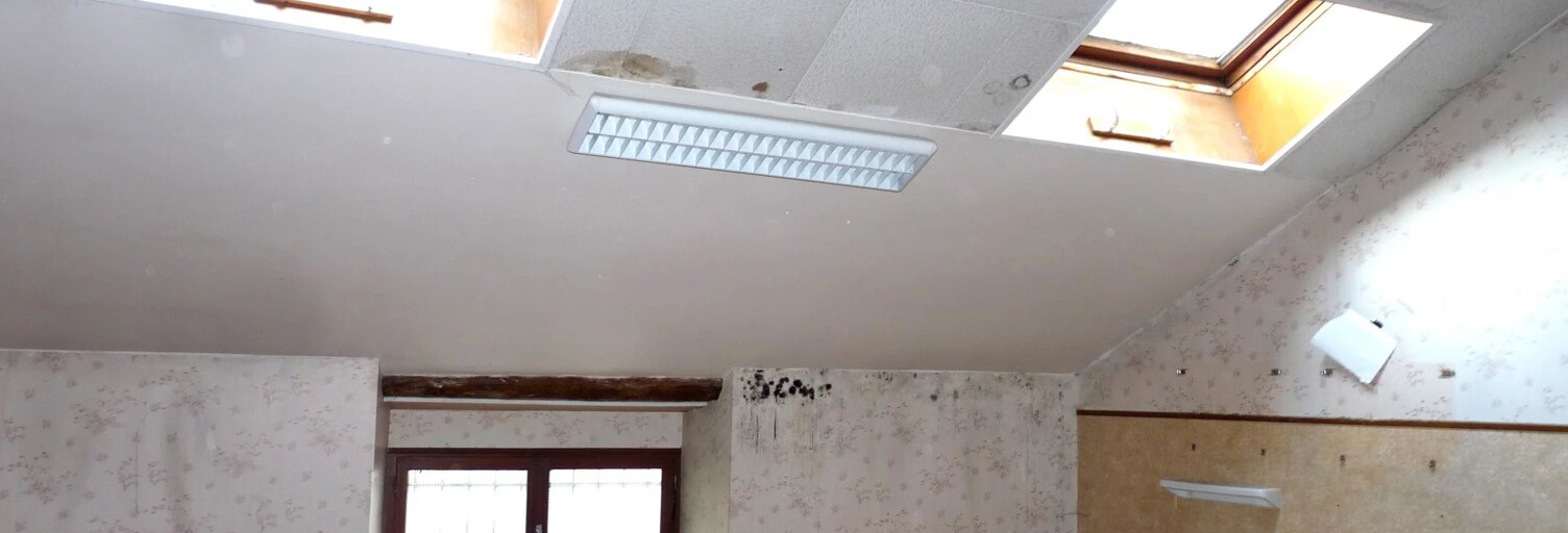 Maison 5 Pièces 201 m² à vendre à Saint-Geoire-en-Valdaine (38620)