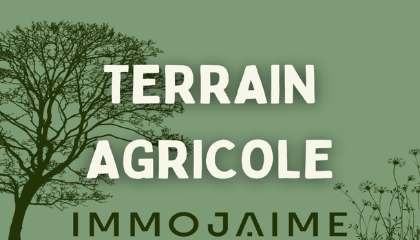 Terrain  à vendre Montesquieu-des-Albères 66740