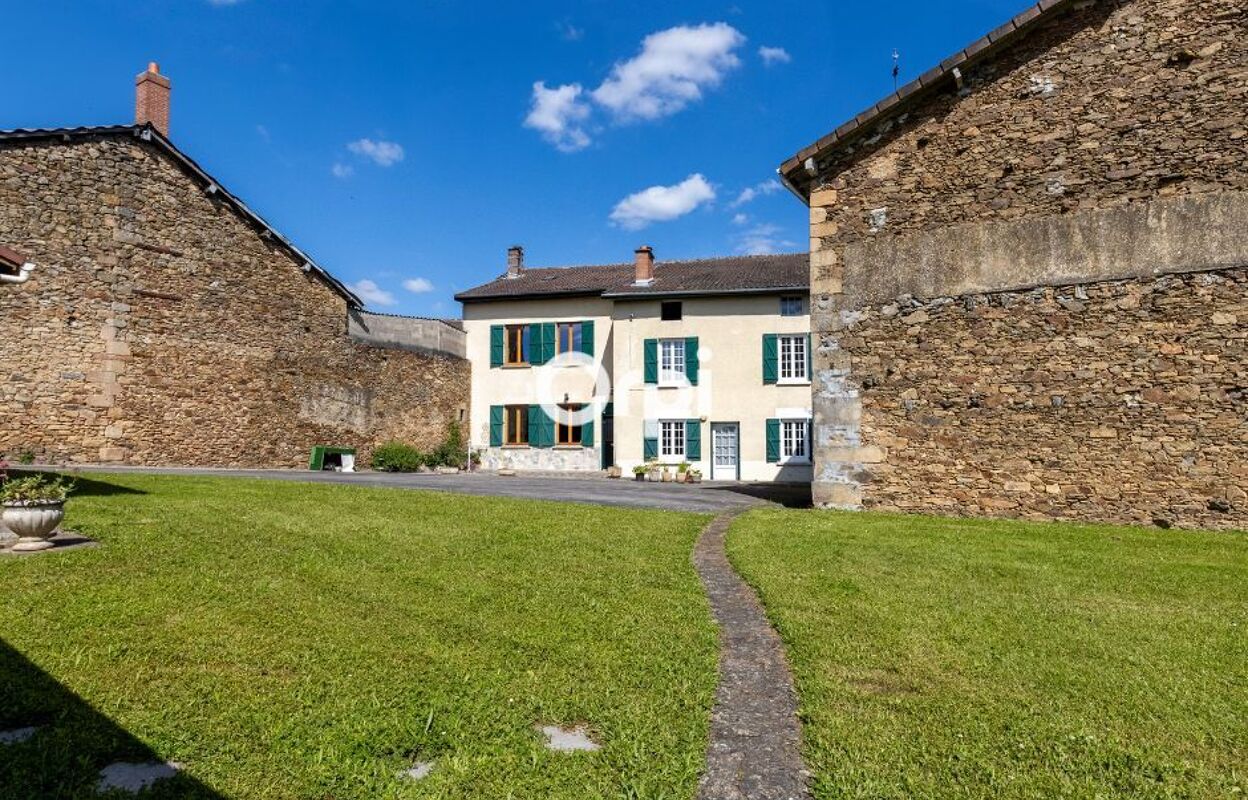 maison 11 pièces 394 m2 à vendre à Verneuil-sur-Vienne (87430)