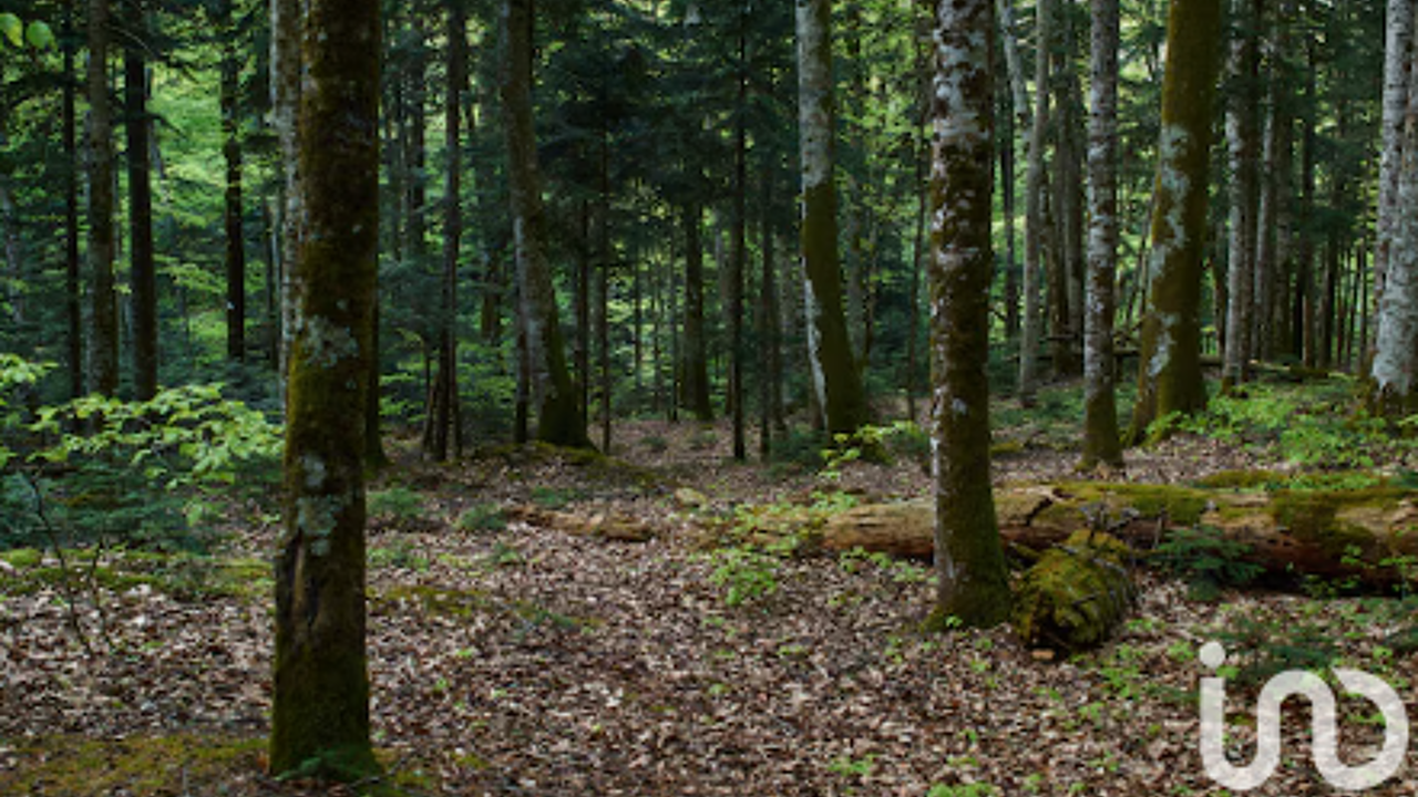 terrain  pièces 5340 m2 à vendre à Forges-les-Bains (91470)