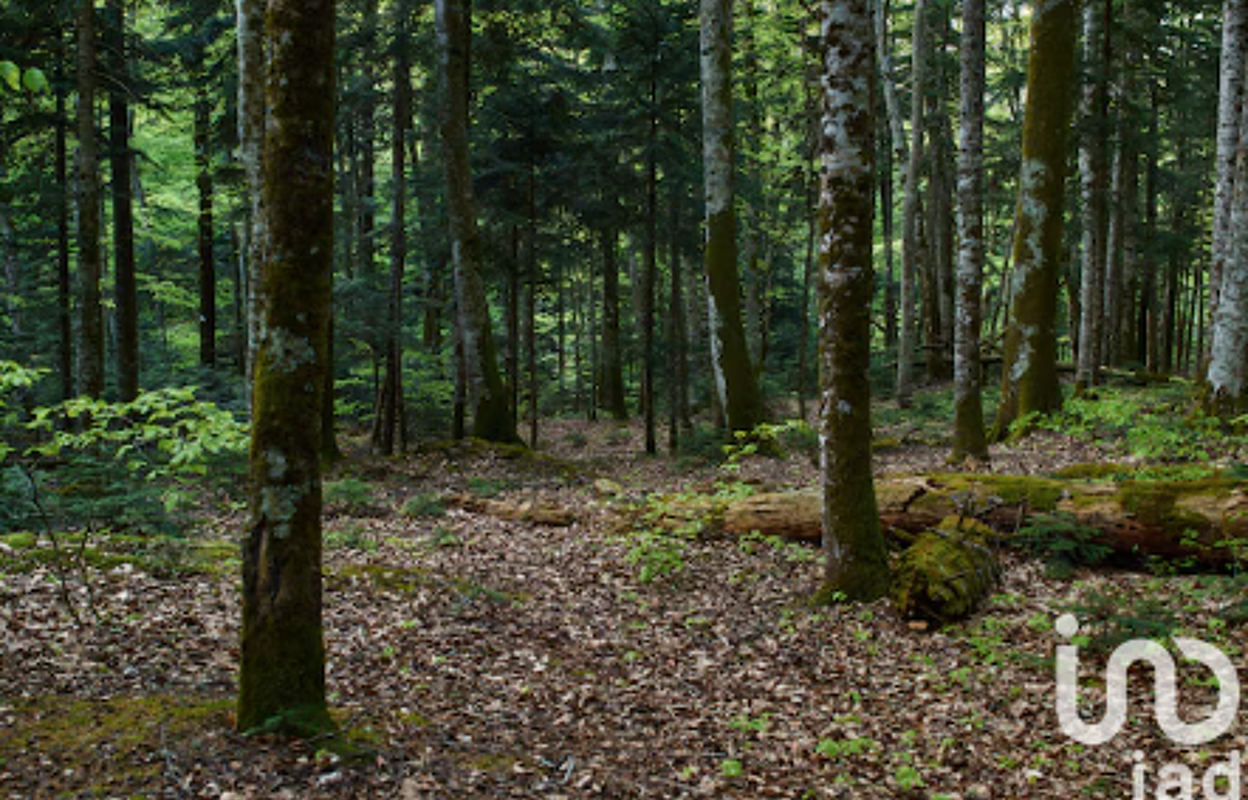 terrain  pièces 5340 m2 à vendre à Forges-les-Bains (91470)