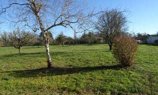 Photo N° 4