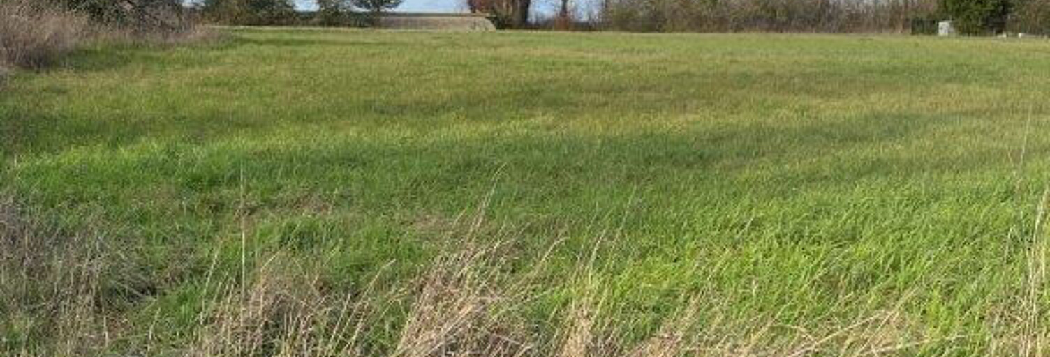 Terrain  2444 m² à vendre à Montigny (45170)