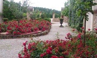 Photo N° 6