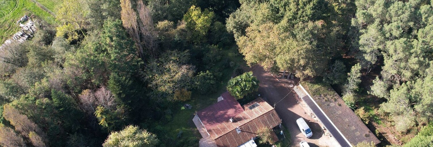 Terrain  75031 m² à vendre à Boisredon (17150)