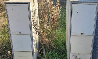 Photo N° 4