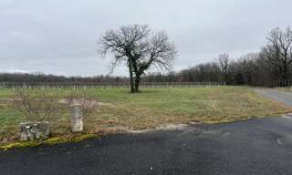 Terrain  1004 m² à vendre à Mosnac-Saint-Simeux (16120)