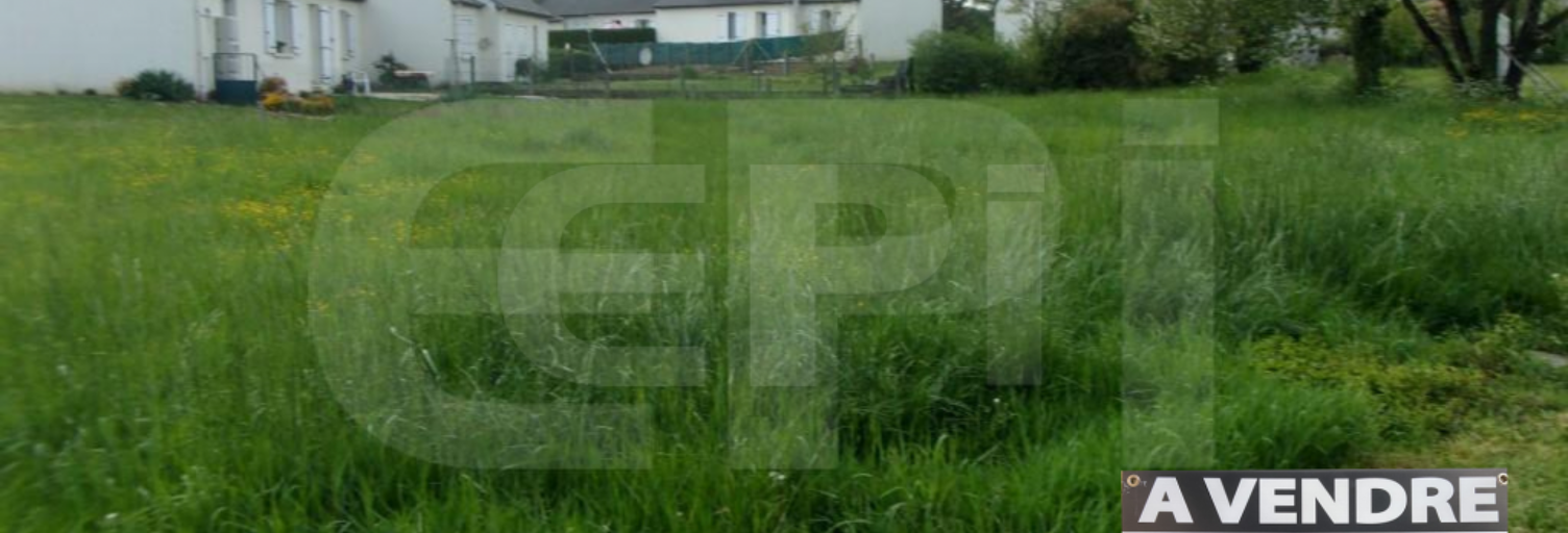Terrain  1219 m² à vendre à Richelieu (37120)