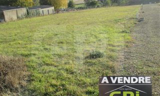 Terrain  6573 m² à vendre à Cernay (86140)