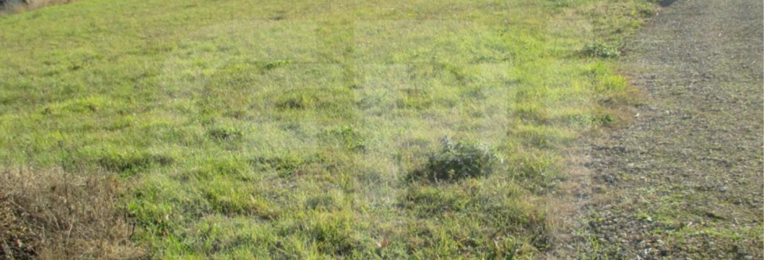 Terrain  6573 m² à vendre à Cernay (86140)