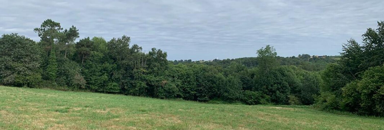 Terrain  13680 m² à vendre à Morganx (40700)