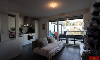 Appartement 3 Pièces 62 m² à louer à Kembs (68680)