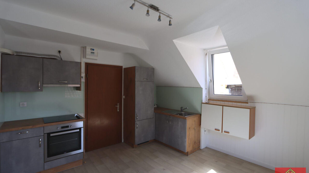 appartement 2 pièces 24 m2 à louer à Buschwiller (68220)