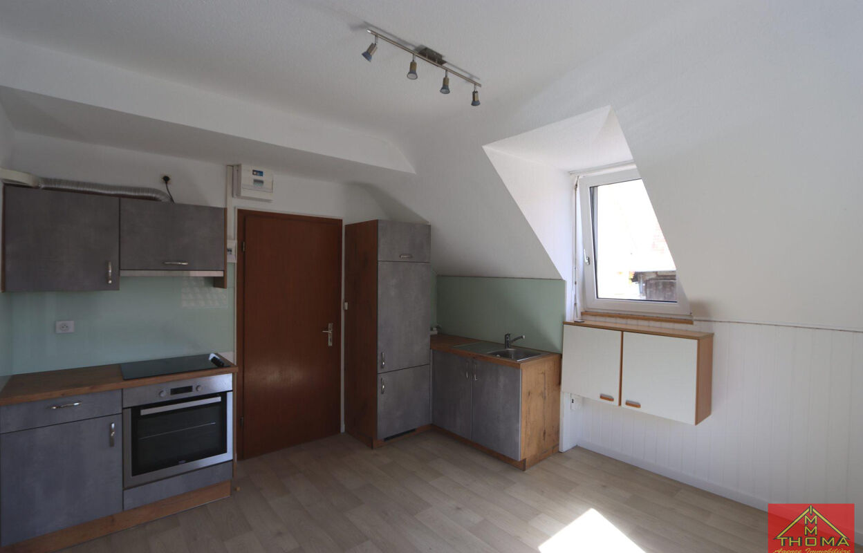 appartement 2 pièces 24 m2 à louer à Buschwiller (68220)