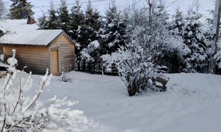 Photo N° 2