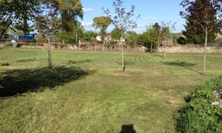 Photo N° 6