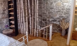 Photo N° 6