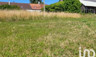 Photo N° 4