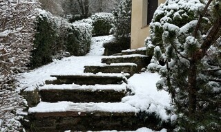 Photo N° 5