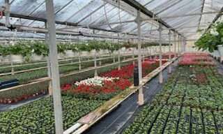 Commerce  5500 m² à vendre à Ribemont (02240)