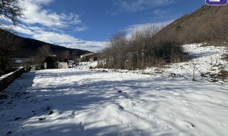 Photo N° 6