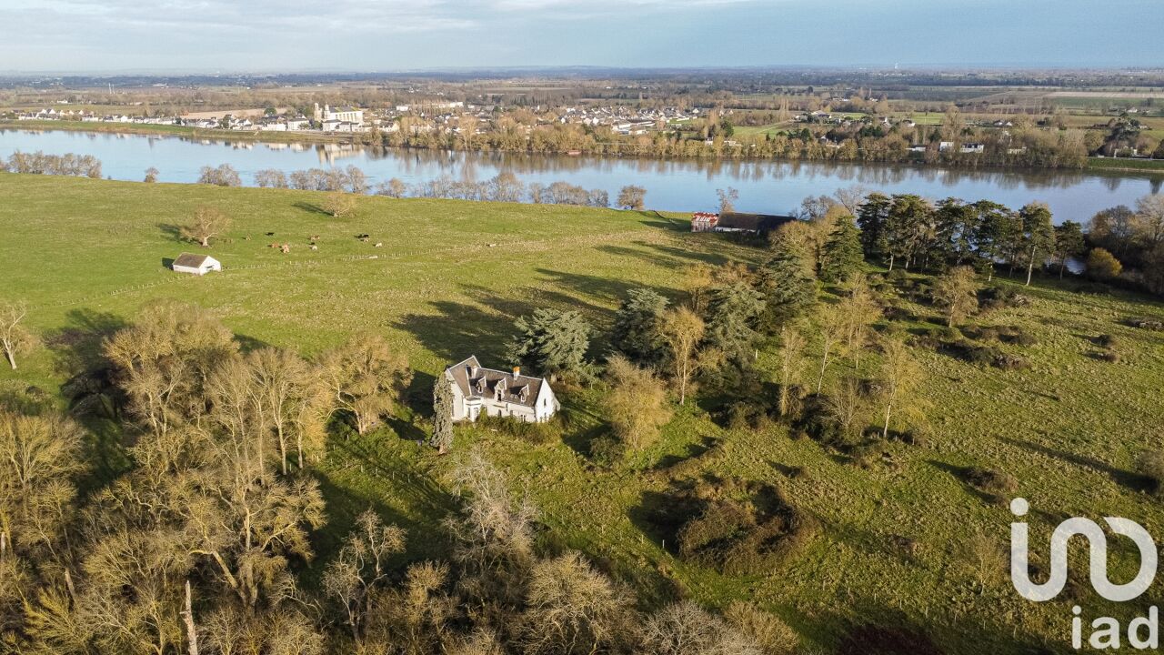 terrain  pièces 332557 m2 à vendre à Gennes-Val-de-Loire (49350)