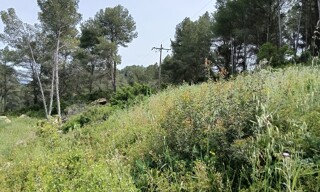 Photo N° 6
