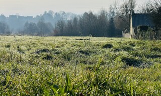 Photo N° 4