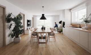 Appartement 3 Pièces 55 m² à vendre à Hengwiller (67440)