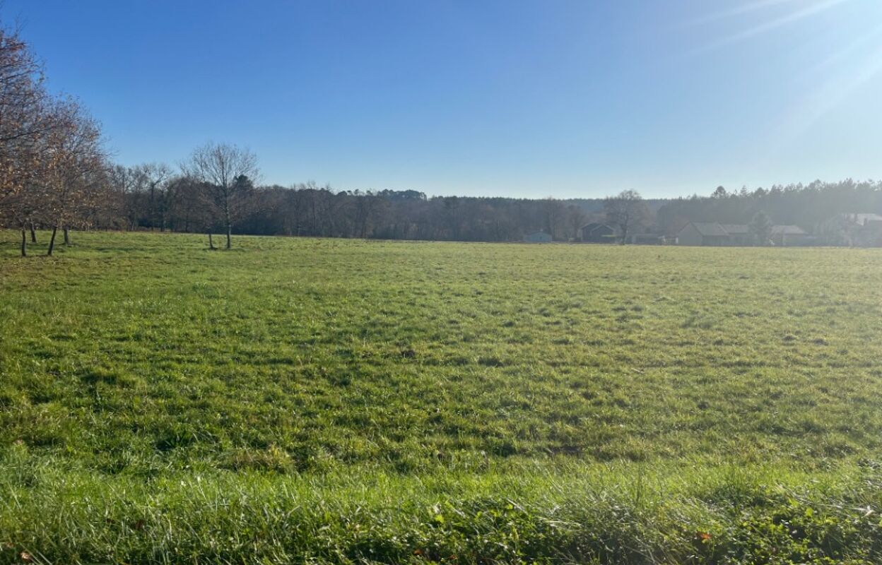 terrain  pièces 1000 m2 à vendre à Casteljaloux (47700)