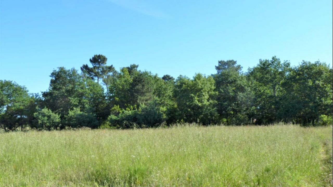 terrain  pièces 990 m2 à vendre à Camblanes-Et-Meynac (33360)