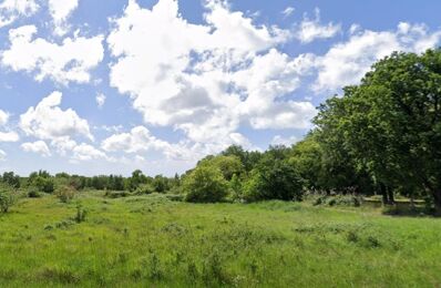 vente terrain 91 260 € à proximité de Mornac-sur-Seudre (17113)