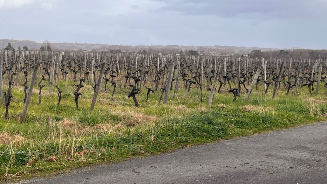 terrain  pièces 870 m2 à vendre à Castres-Gironde (33640)