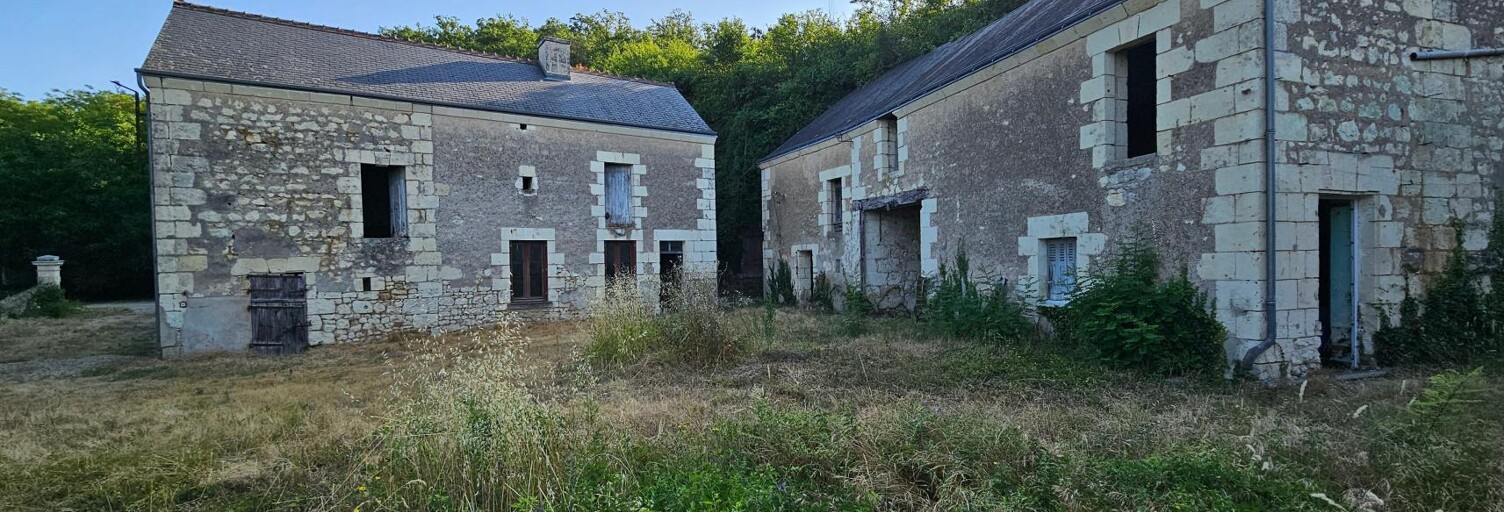 Maison 2 Pièces 100 m² à vendre à Cravant-les-Côteaux (37500)