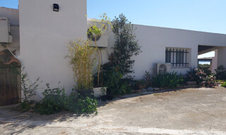 Photo N° 3