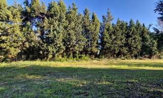 Terrain  299 m² à vendre à Maussane-les-Alpilles (13520)