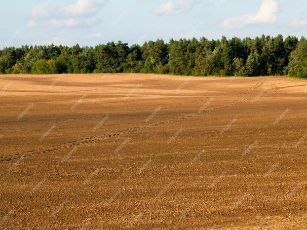 Terrain  à vendre Nanteuil-la-Forêt 51480