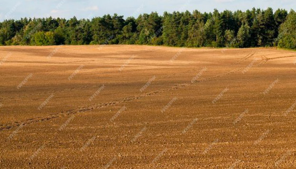 Terrain  à vendre Nanteuil-la-Forêt 51480