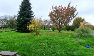 Photo N° 4