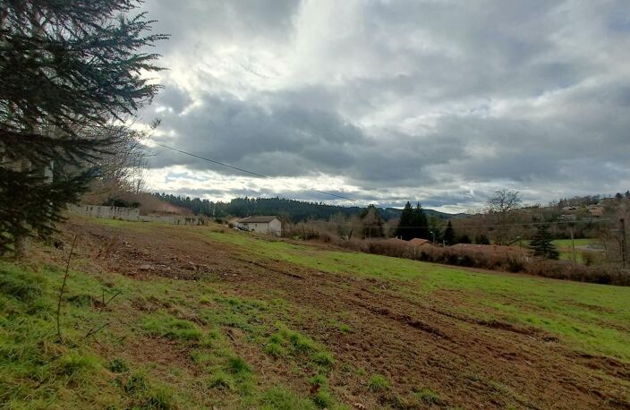 Vente terrain  505 m² Cublize (69550) — photo 2
