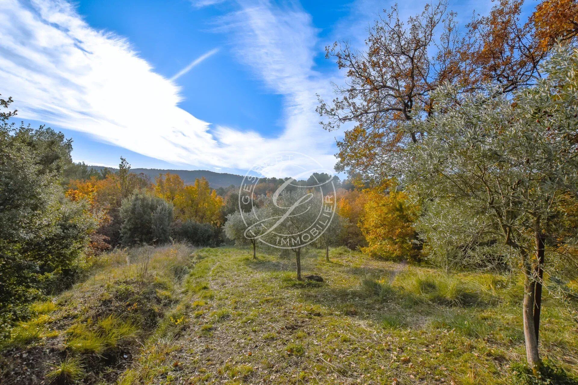 Terrain  à vendre Montferrat 83131