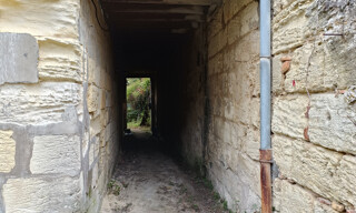 Photo N° 6