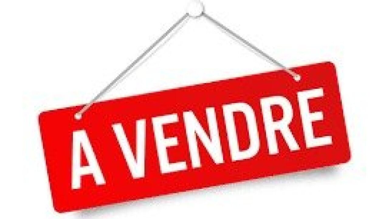 maison  pièces 300 m2 à vendre à Wandignies-Hamage (59870)