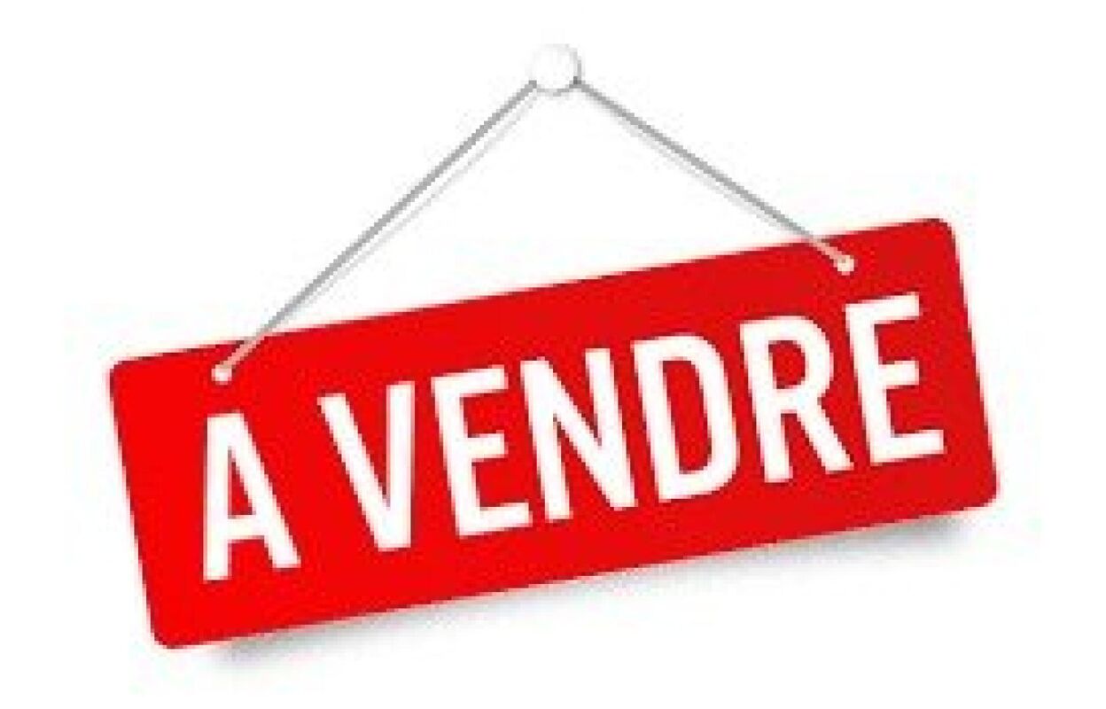 maison  pièces 300 m2 à vendre à Wandignies-Hamage (59870)